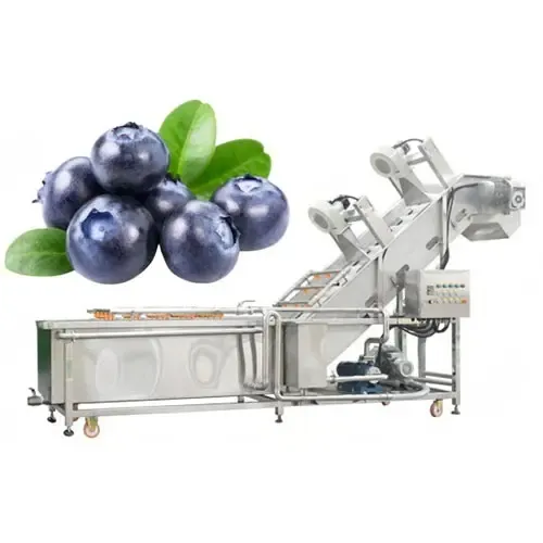 Πλυντήριο ρούχων Blueberry